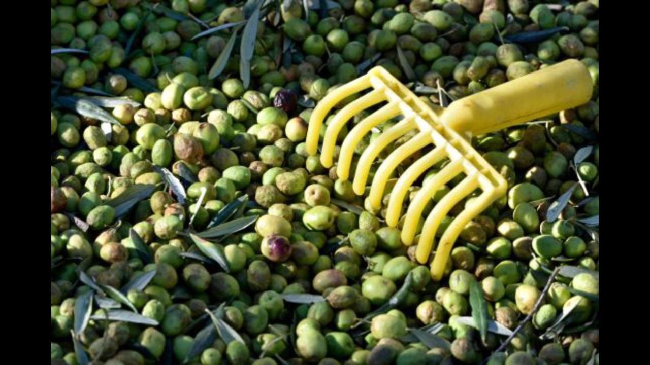 Hebergements des POSAS Sampzon Buitenkant foto